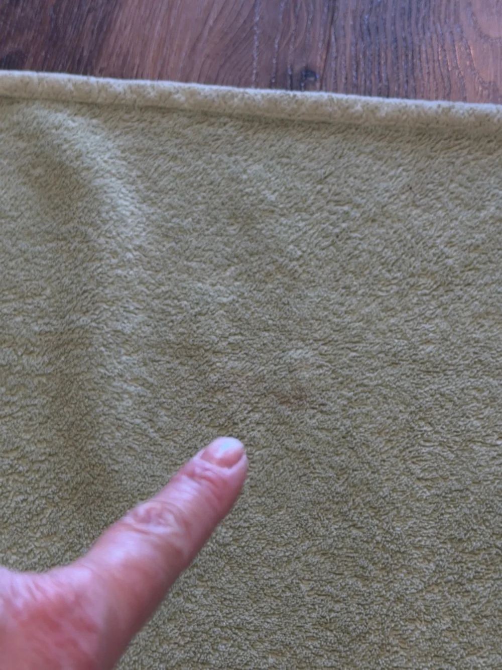 Carter's Olive Green Plush Baby Blanket with raccoon